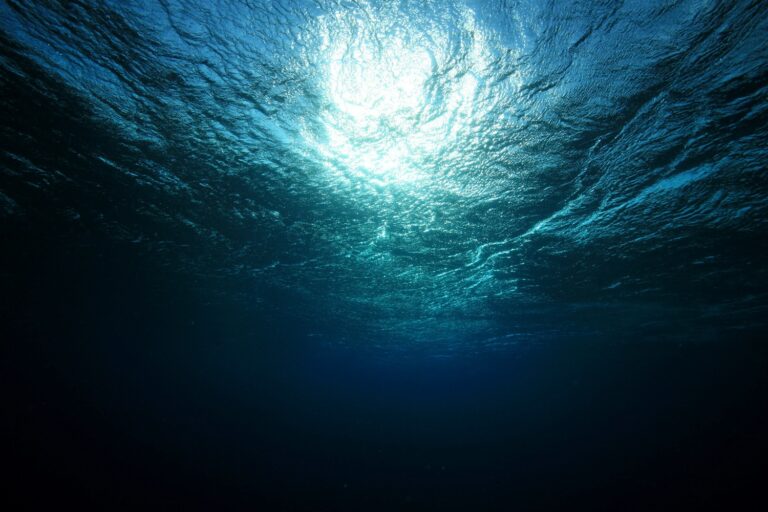 La espiritualidad del ser humano.